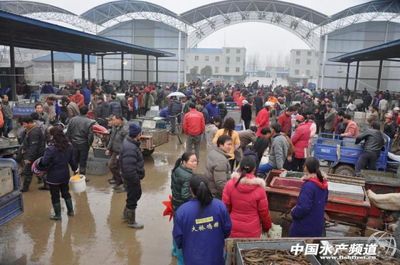 超强冷空气让黄鳝市场销量再次下滑 - 价格行情 - 中国水产频道 | 网聚全球水产华人