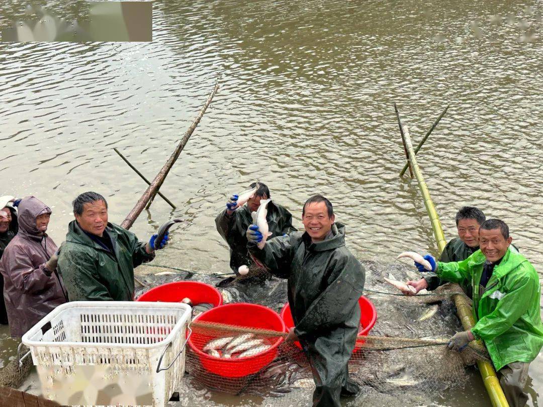 【“五型”政府】操场乡:小鲈鱼“游”出致富新路子