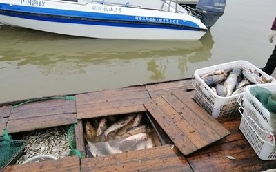 洪湖保护区查获1200余斤非法捕捞的水产品