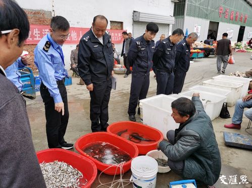省洪泽湖渔管办与地方公安 市场监管部门开展非法捕捞销售水产品检查