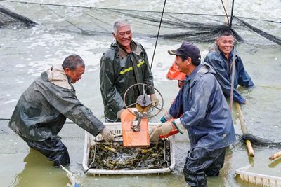 荆州区:生态水产养殖产品产量稳步增长 深受市场青睐