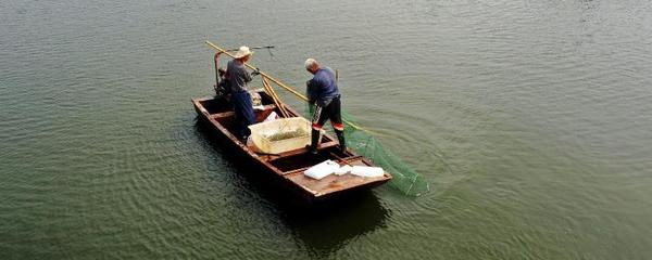 双氧水在水产养殖中使用方法,双氧水的作用